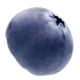 SunSpun Blueberries