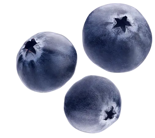 SunSpun Blueberries