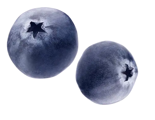SunSpun Blueberries
