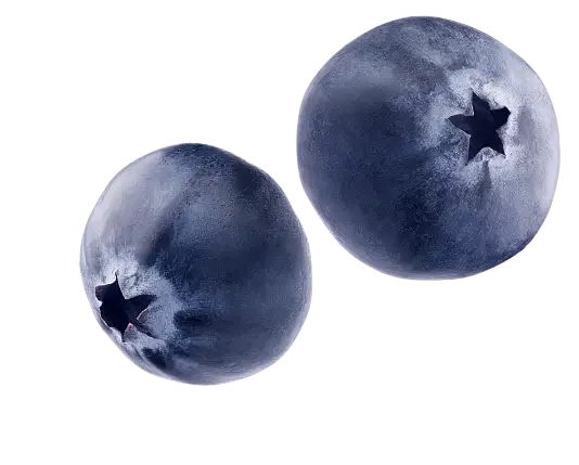 SunSpun Blueberries
